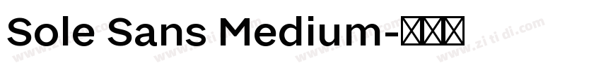 Sole Sans Medium字体转换